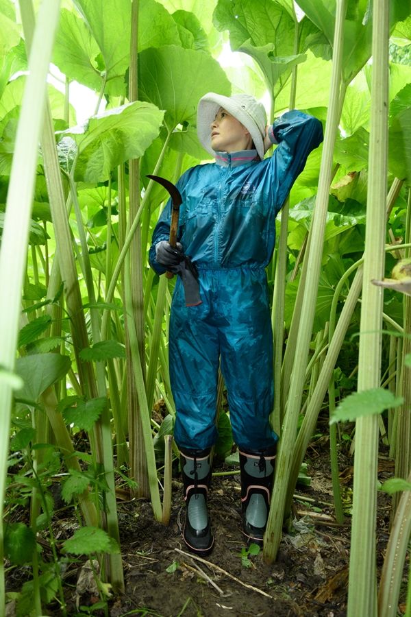 蝦夷和紙工房 紙びより 蝦夷和紙シリーズ ショーケース展示8月16日まで 札幌スタイル 蝦夷和紙工房 紙びより 蝦夷和紙シリーズ ショーケース展示8月16日まで 札幌スタイル