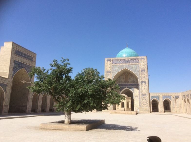 ウズベキスタン協会設立周年旅行開催 中央アジアの美しさを実感し 地球環境問題を考える旅に Mine